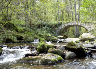 Pont de Riberolles