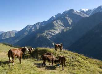 Randonnée: Le Col du Joly