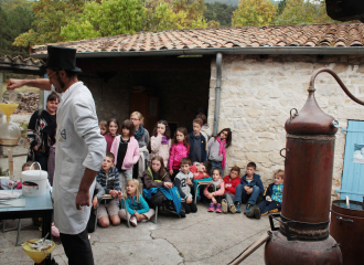 Musique et plantes de sorcière