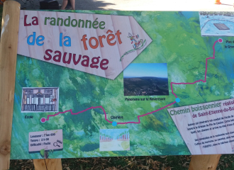 La randonnée de la forêt sauvage