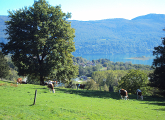 La Ferme du Perron