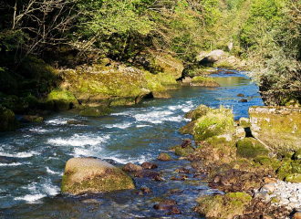 Les bords de Dranse