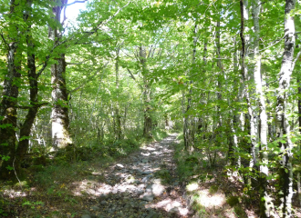 Randonnée pédestre : Champomadour 7,4 km