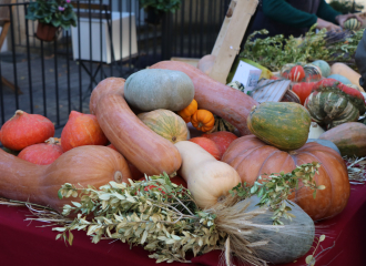 Courges, Potirons et Cie