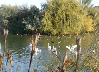 Parc animalier du Domaine de la Treille