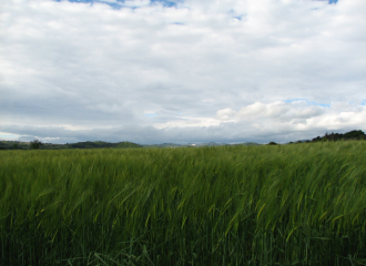 Le sentier des Ayasses et des Groles