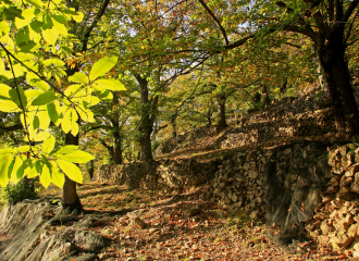 Tour of the Upper Cévennes in Ardèche