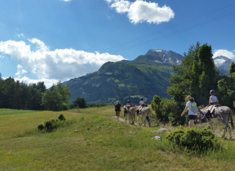 Anes et Randonnées à Aussois