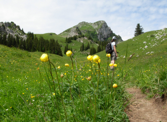 Sommet de la Haute Pointe