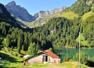 Lac des Plagnes, Abondance