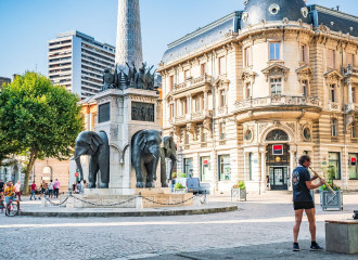 Promenade Confort : En suivant les éléphants