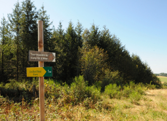 Chemin de randonnée