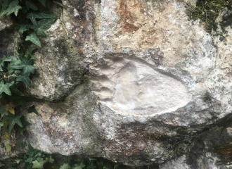 Sentier pédagogique - Chemin des Cuves