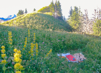 Sortie Bivouac des familles ou 