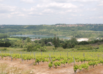 Panorama sur les carrières du Garon et Millery