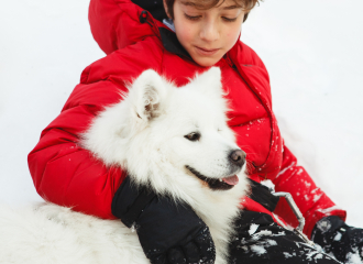 Séjour parcours Citoyen Chiens samoyede