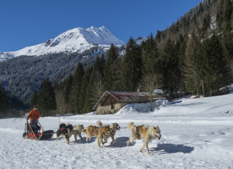 Parc du Chien Polaire