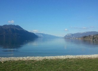 Easy Walking Tour: Shoreline Path