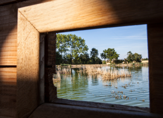 Observer les oiseaux en Dombes