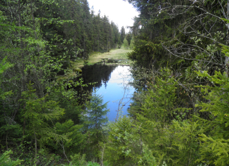 Itinéraire de randonnée : Plan Bois par le Sentier du Lac Noir