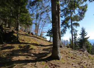 Sentier de la Cave aux Fées