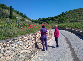 Sentier randonnée